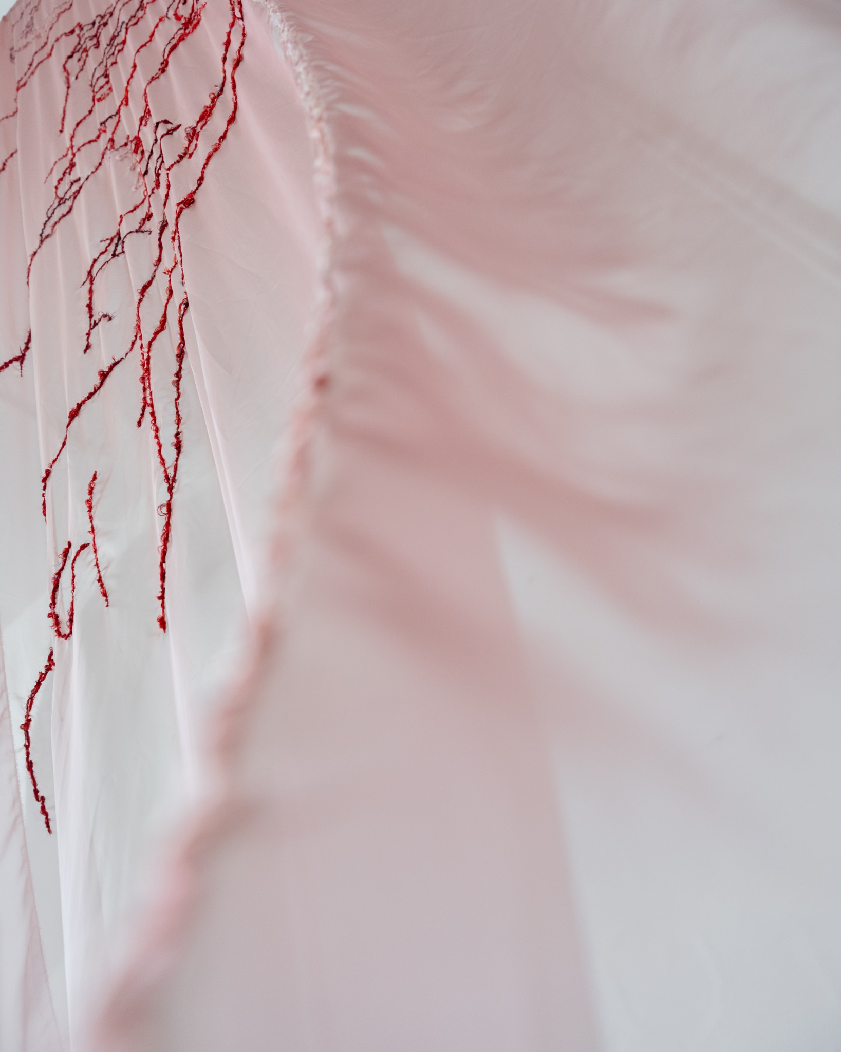 Organza edge and embroidery seen in profile
